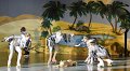 Lionking 0267